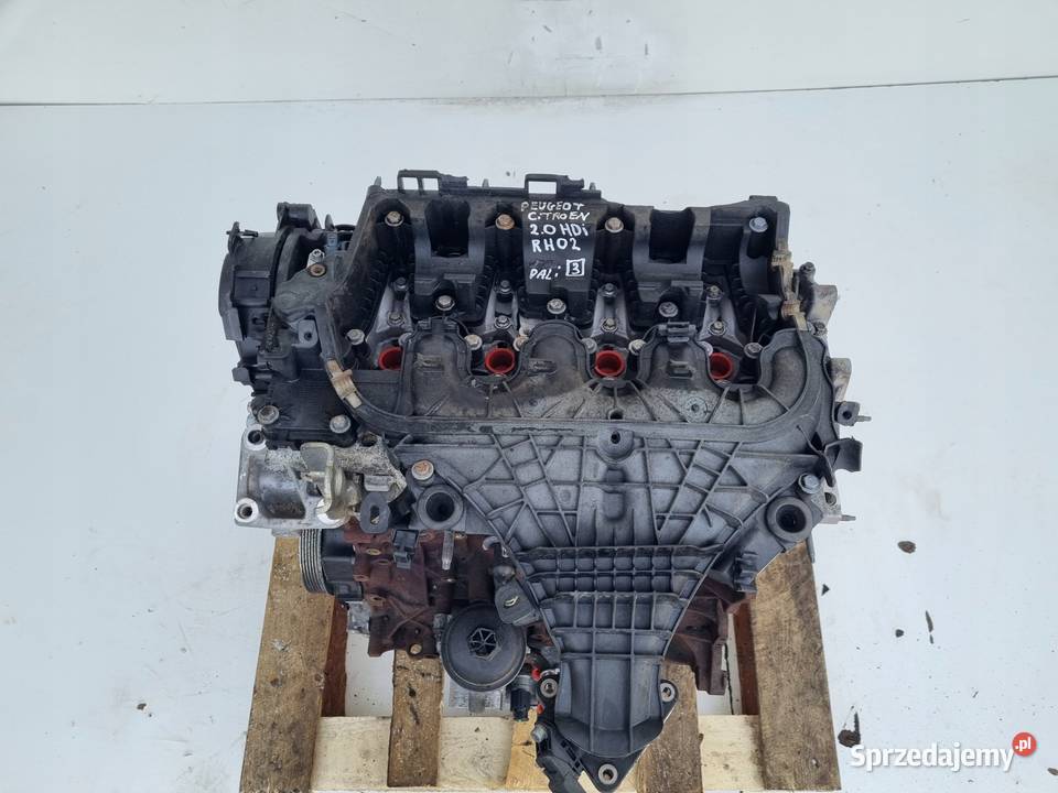 SILNIK Citroen C4 Picasso 20 HDI 163 ładnie Silniki kompletne Rudka