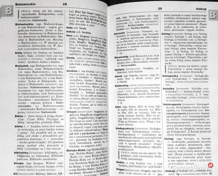 Szkolny słownik poprawnej polszczyzny Magdalena lubelskie