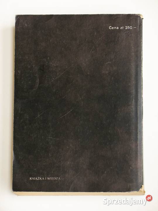 Na tom niniejszy składa się 29 esejów małopolskie Kraków