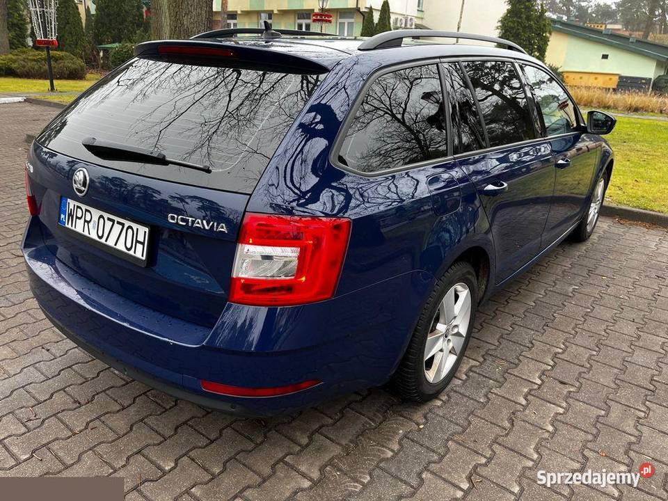 Skoda Octavia 16 TDI SCR Ambition 115 2017r 1598cm3 Józefów