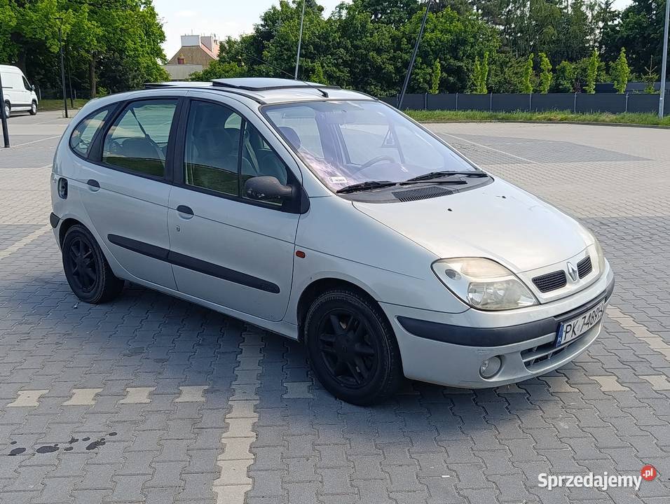 Sprawny scenic hak Van / Minibus wielkopolskie