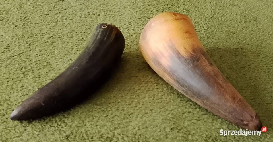 Dwa rogi z Pucka z lat 70 śląskie