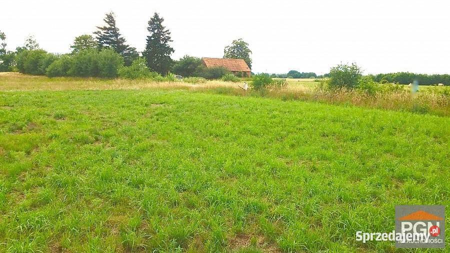 Działka Trzebieszewo 3000m2 Nieruchomości zachodniopomorskie