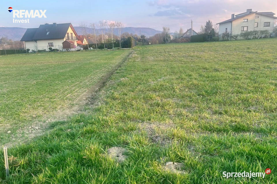 działka budowlanaPisarzowice Pisarzowice
