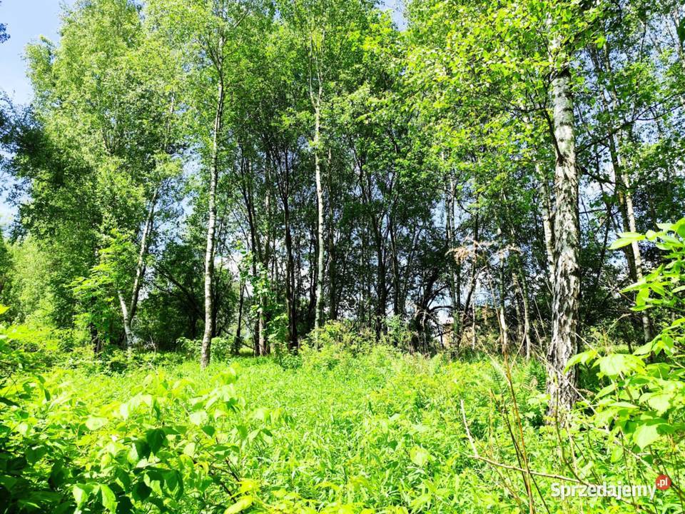 Działki budowlane Pietrusza Wola sprzedam