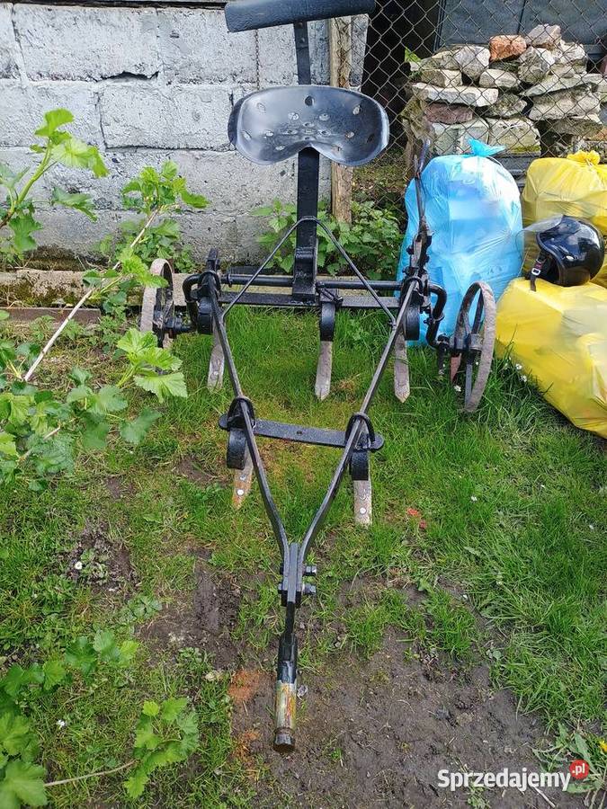 Sprzedam dzik 2 Polatycze