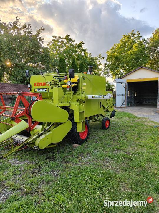 Claas stanie Zbożowe Kazimierza Wielka sprzedam