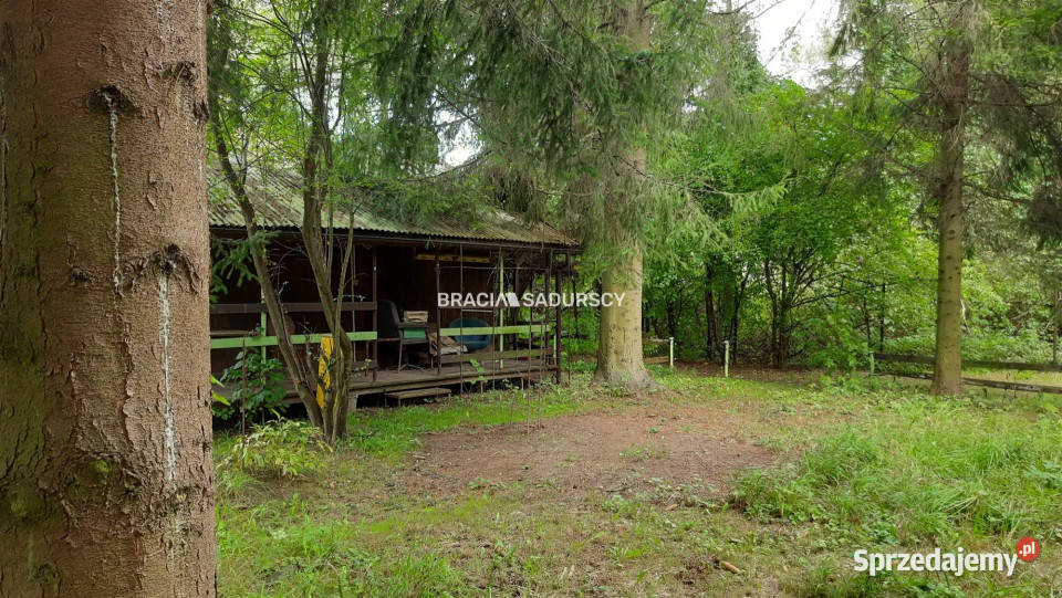 Grunt Lusina 450m2 Sprzedaż Nieruchomości sprzedam