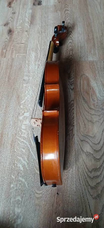 State skrzypce Kraków