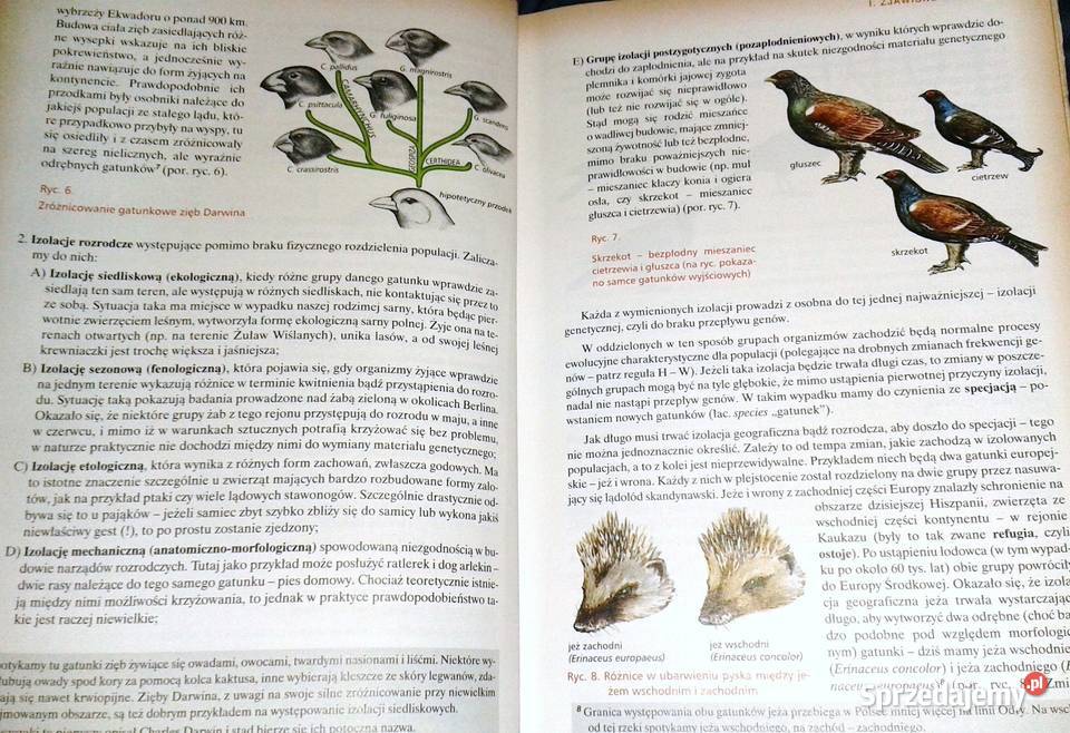 Podstawy ewolucjonizmu Jacek Balerstet lubelskie Chełm