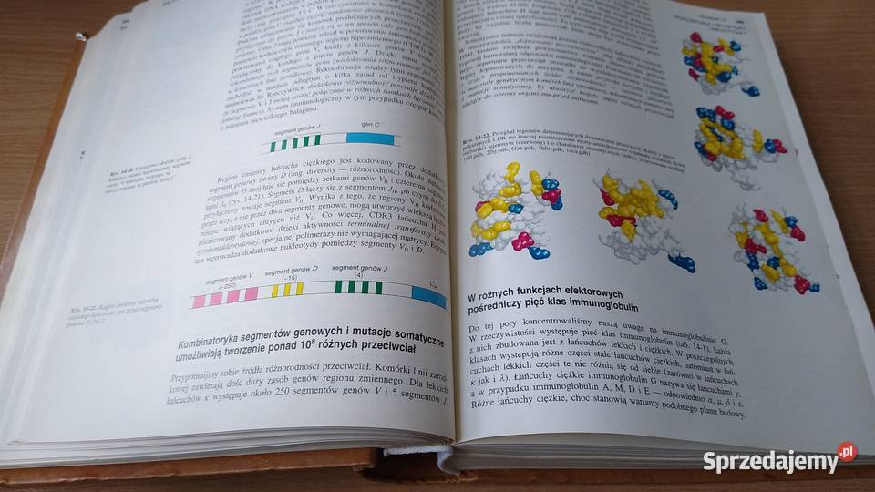 Biochemia Lubert Stryer WYDANIE NOWE 1997 pomorskie Gdańsk