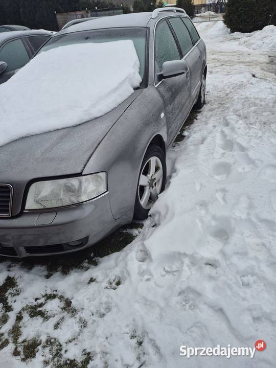 Audi nieuszkodzony Brzyno