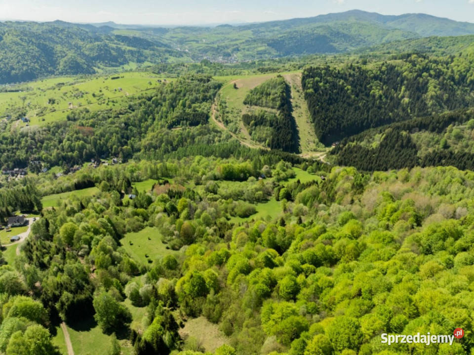 Działka z własnym lasem i południowym słońcem w 1875m2 Szczawnica