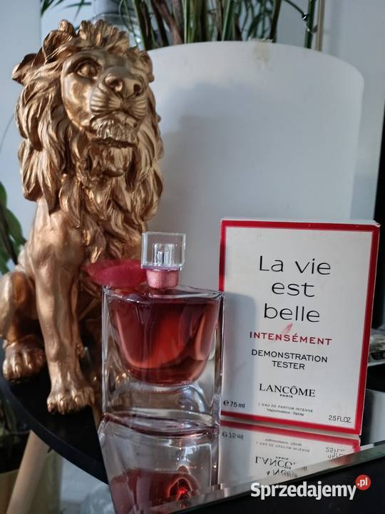 La vie Est Belle intensement Wrocław