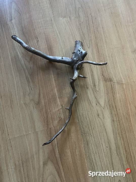 Sprzedam korzeń do akwarium Szczecin