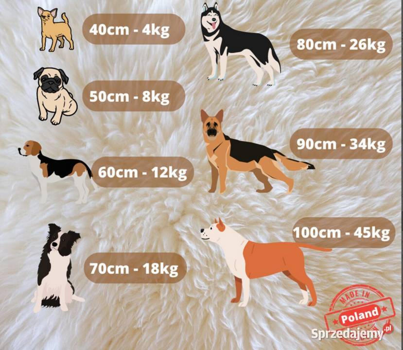 Legowisko Psa Kota Posłanie z Naturalnej Owczej Dla psów Szaflary