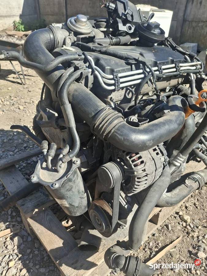 Silnik 19tdi z osprzętem i skrzynią świętokrzyskie Bodzentyn sprzedam