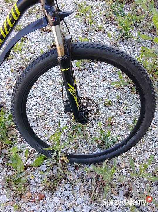 Rower Specjalized wielkopolskie Leszno