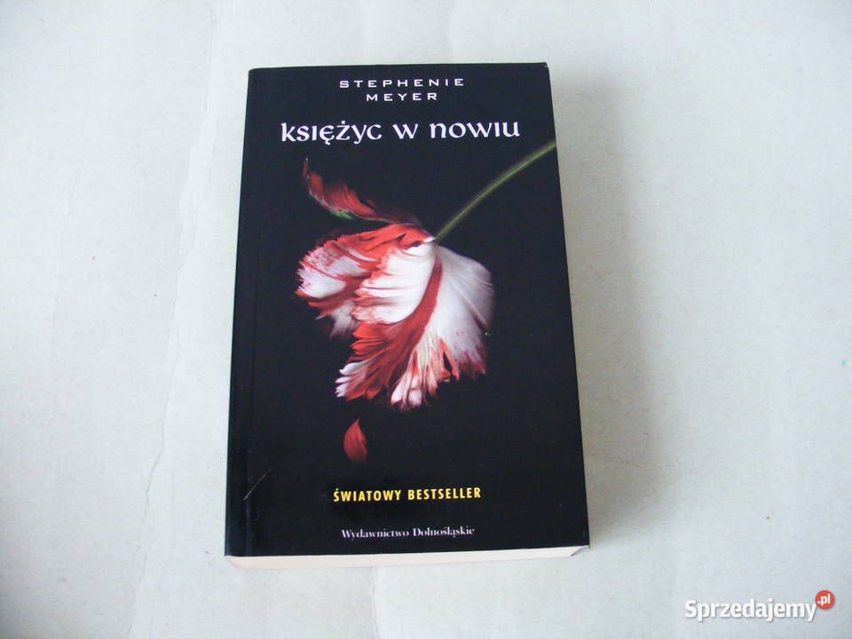 Prom kosmiczny 03 Niezidentyfikowany obiekt miękka Oborniki Śląskie