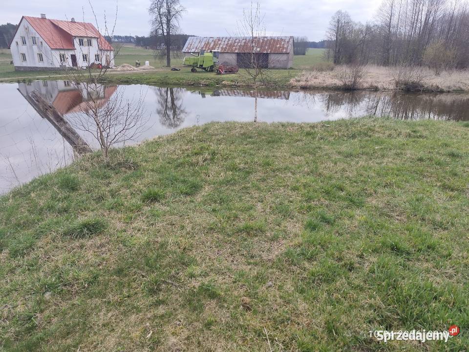 Działka budowlana z budynkiem stawem warmińsko-mazurskie Danowo