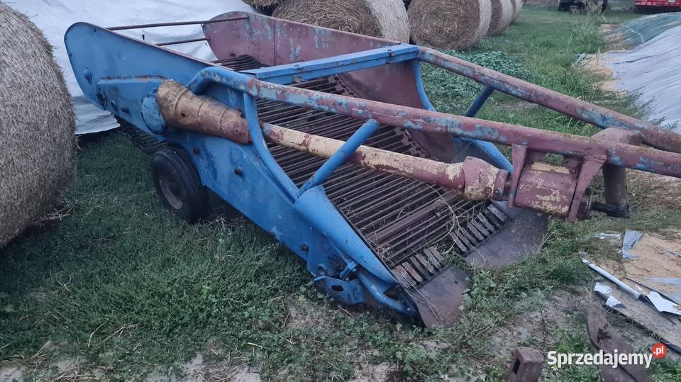 Kopaczka lubelskie Tuczna
