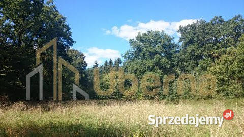 Duża działka pod agroturystykę Maszewa Radzanek
