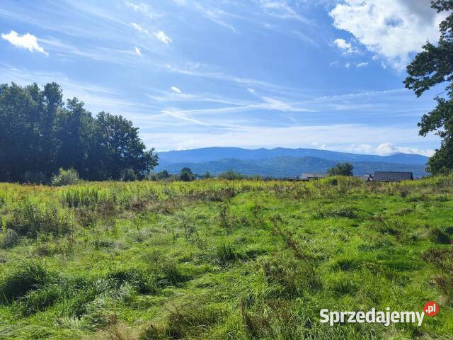 sprzedaży ziemi Wojcieszyce 1350m2 206zł/m2