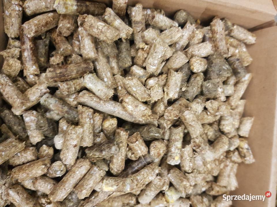 AgroBiogazownia kontenerowa o mocy 1 MW śląskie Katowice