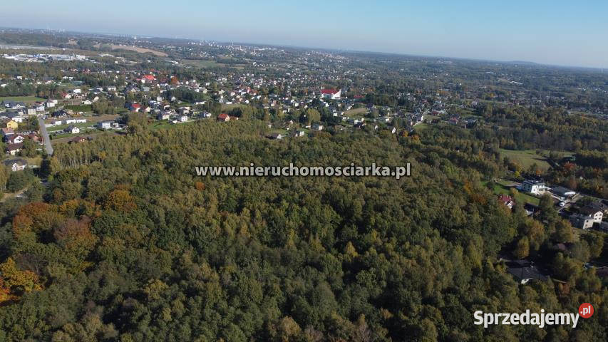 Grunt 15421m2 Czyżowice śląskie