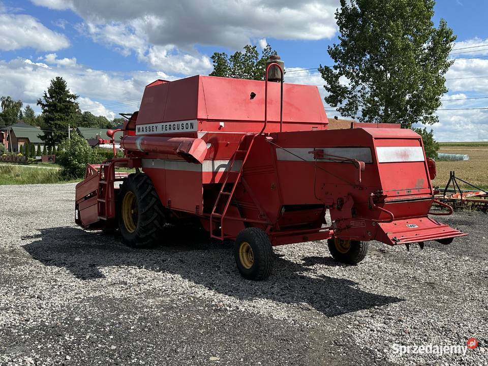 Massey Ferguson 206 nieuszkodzony Pieczonogi