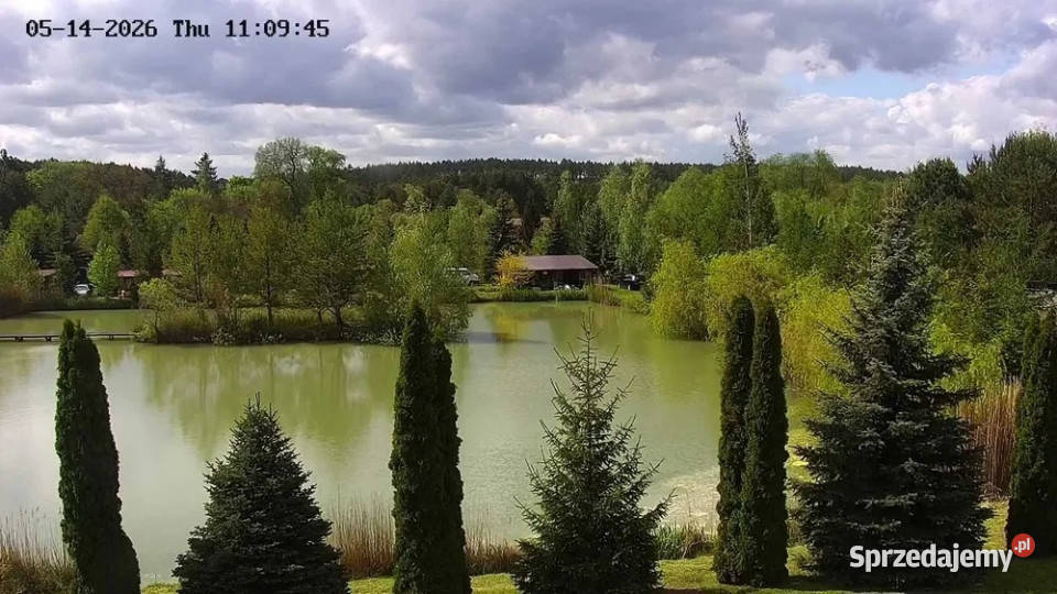 SIEDLISKO DOM 120 m2 2 STAWY 15 ha Ziemi rolnej Krzewno