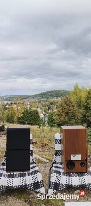 Dynaudio MSP 200 kolumny muzyczne Jelenia Góra