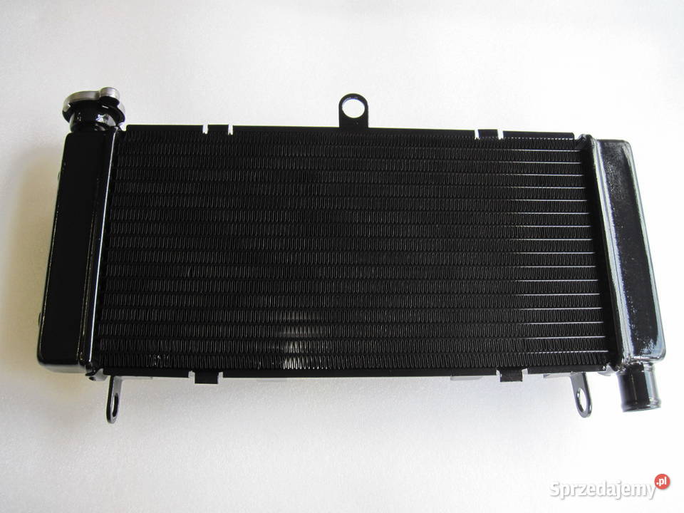 Chłodnica Honda CB 600 PC34PC36 Hornet 9806r Poznań