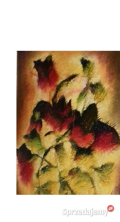 Epickie Róże Ogniste Roztopione podkarpackie Jarosław