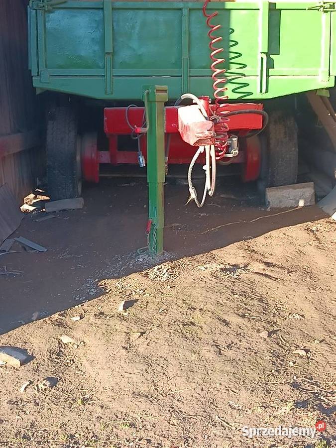 Przyczepa z kiprem Łąkta Górna sprzedam