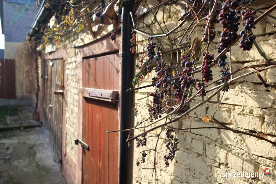 Centrum Goniądza budynek 270 m z lokalem Goniądz