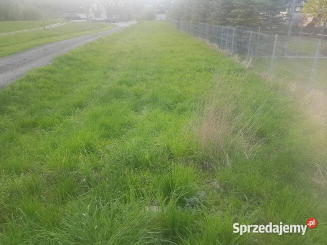 sprzedaż działki Szaflary