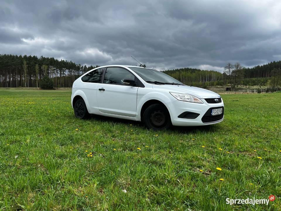 FORD FOCUS Skwierzyna