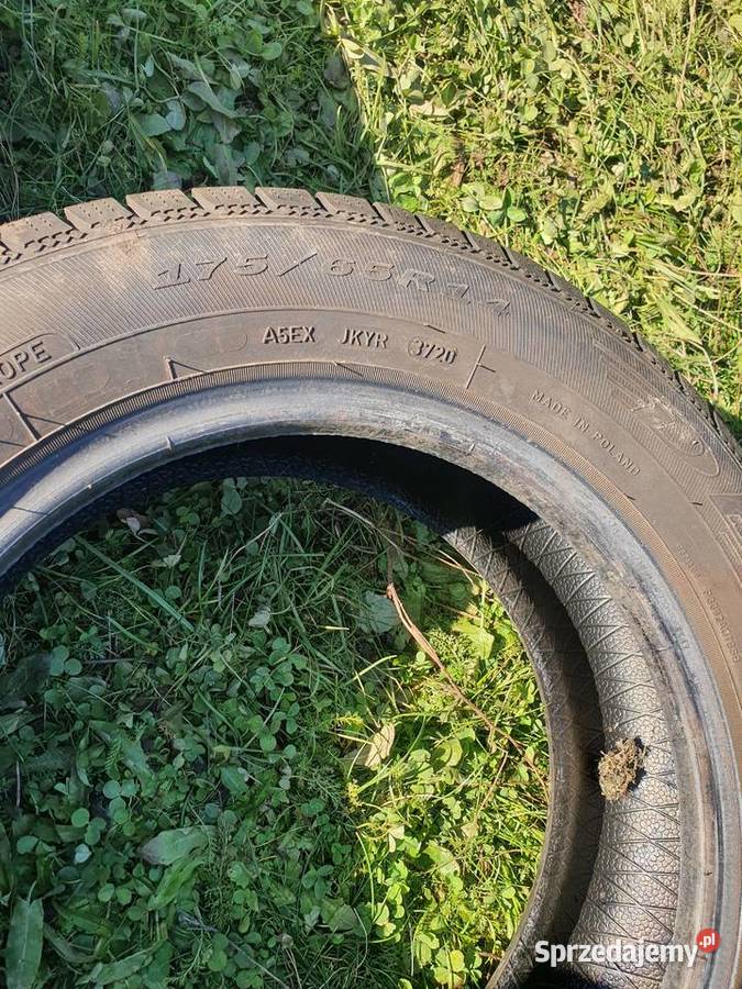 Opona opony zimowa Dębica Frigo II 3720 17565 Kraków