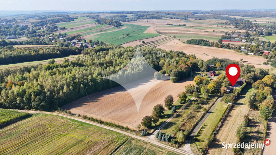 Przytulny dom z potencjałem i ogromną działką garaż Sprzedaż sprzedam