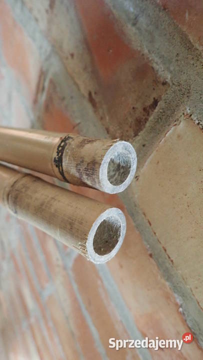 Stelaż podpora do pomidorów bambusowy kijek 180 Zagnańsk