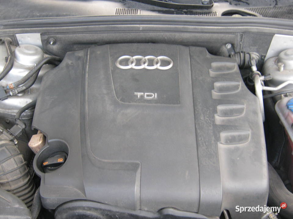 Audi a4 b8 Luzino