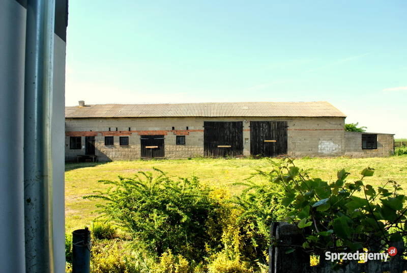 Dom z bud gospodarczymi Wacławów między Słupca a Domy Wacławów