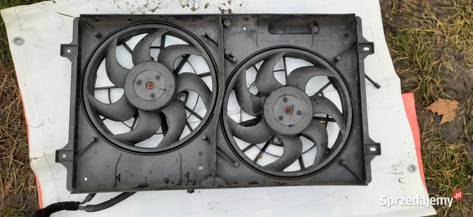 Ford Galaxy dolnośląskie Siechnice