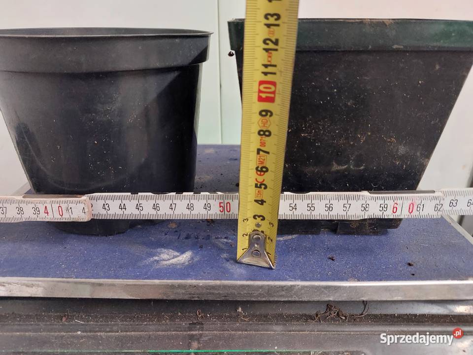 Doniczki produkcyjne szkółkarskie używane Sompolno