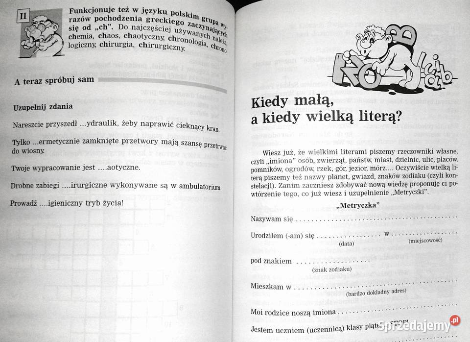 Dyktanda i zabawy ortograficzne Kl 456 Barbara Rok wydania 2004