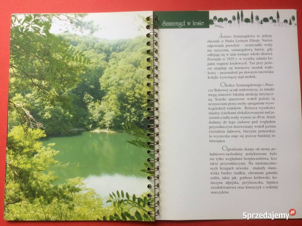 539 Puszcze Szczecińskie 2005 Szczecin