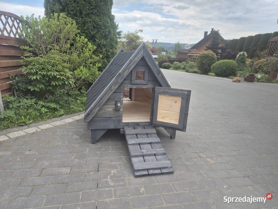 Kacznik Jordanów sprzedam