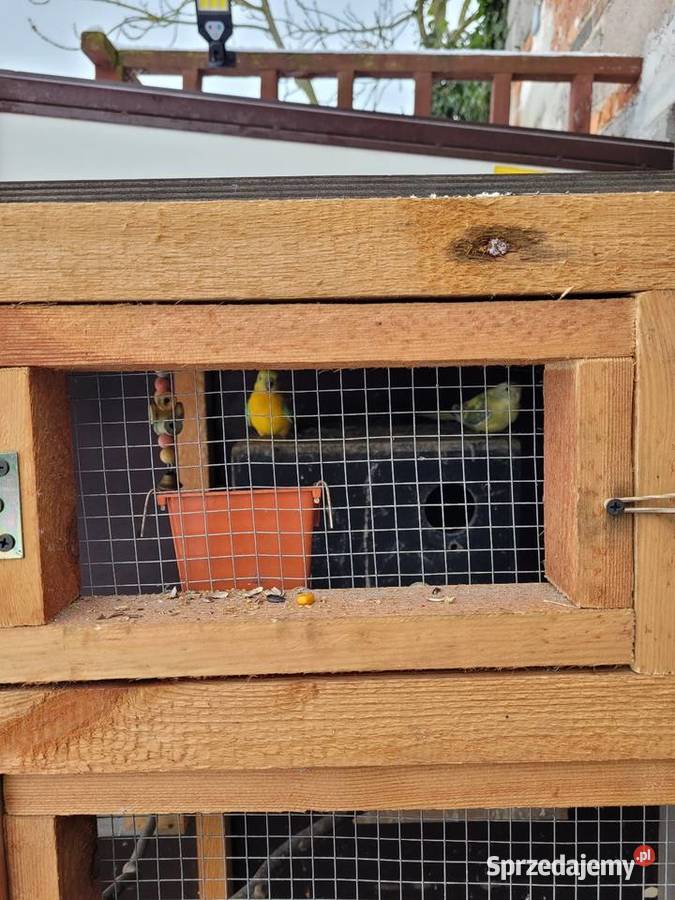 Swiergotki woliera 6 3parki Objezierze