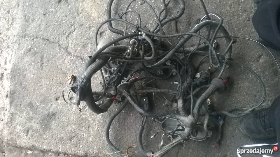 Silnik 19TDI 110 AFN z skrzynią 5biegową i Głogów